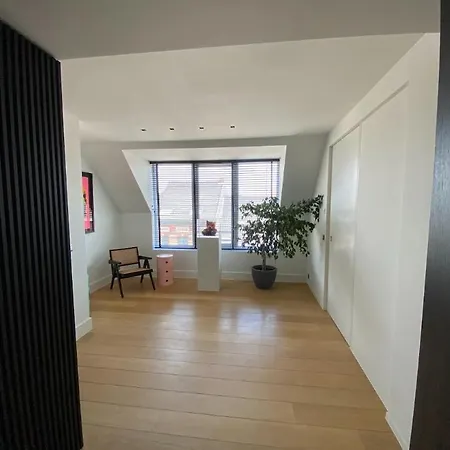 Business Luxury Loft Homestay szállás
